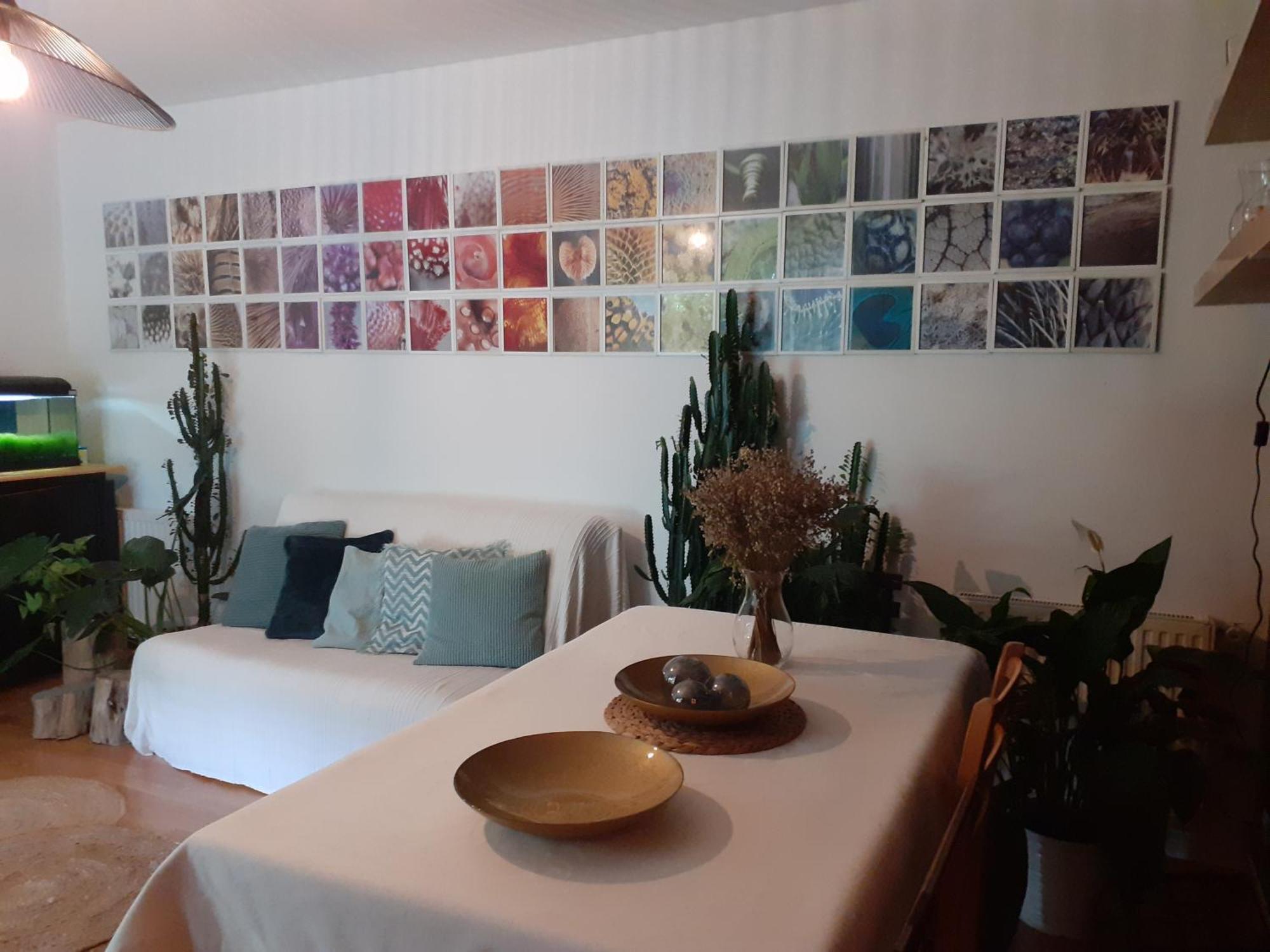 Au Bosquet, Chambre Et Salle De Bains Avec Petit Dejeuner A 600 M Du Centre Dans Un Cadre Calme Et Verdoyant Salies-de-Béarn Exteriér fotografie